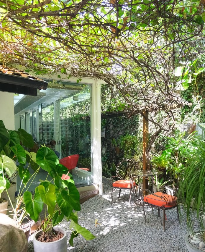 Pátio com plantas, parreira e cadeiras laranja